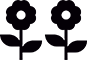 lavanderia